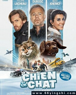 è�����Ҷ��ķ���ͼ