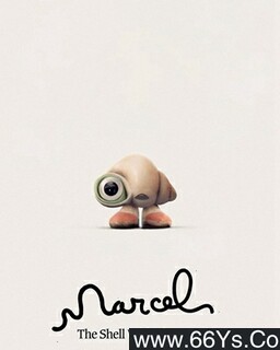 ����Ь�ӵı����������ķ���ͼ