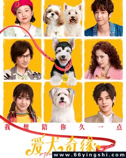 ��Ȯ��Ե�ķ���ͼ