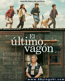 ����ľ�ͷ�ķ���ͼ