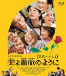 ����֮��3�ķ���ͼ