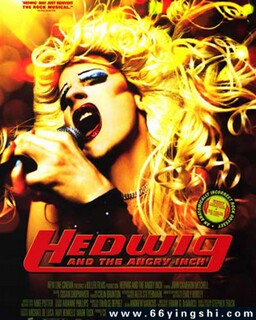 ҡ���űȵķ���ͼ