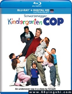 �׶�԰��̽�ķ���ͼ