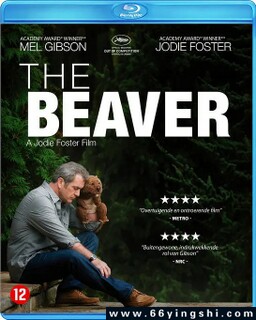 ����ķ���ͼ