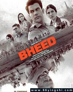 ��Ⱥ�ķ���ͼ