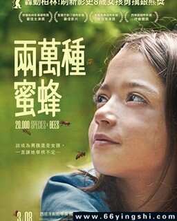 �������۷�ķ���ͼ