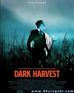 �ڰ��ո�ķ���ͼ