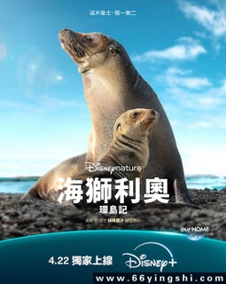 ��ʨ���»����ǵķ���ͼ