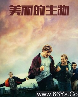 ����������ķ���ͼ