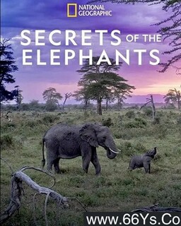 ��������ܵķ���ͼ