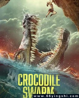 ����Ⱥ�ķ���ͼ