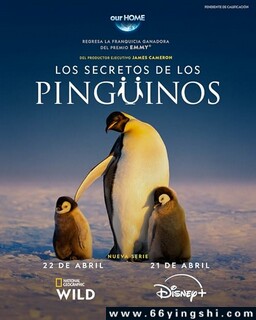 ���֮�յķ���ͼ