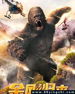 ��չ���2024�ķ���ͼ