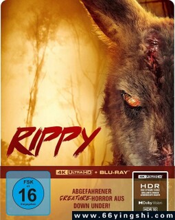 ��Ѫ����ķ���ͼ