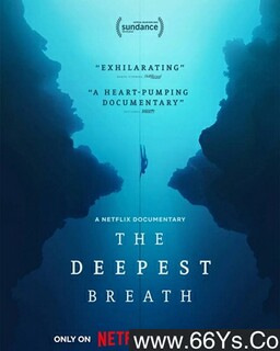 ����ĺ����ķ���ͼ