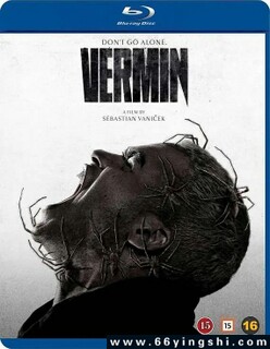 ����ķ���ͼ