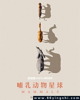 ���鶯������ķ���ͼ