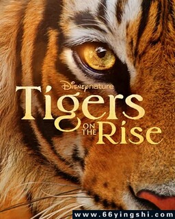 �ϻ�����ķ���ͼ