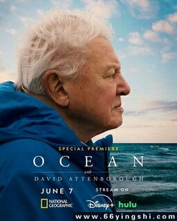 ����·���Ǳ�������ķ���ͼ