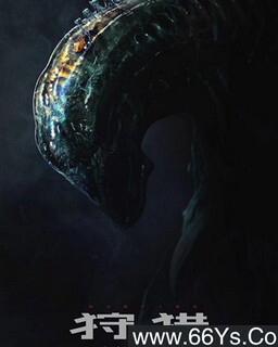 ����2021�ķ���ͼ