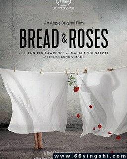 �����õ��ķ���ͼ