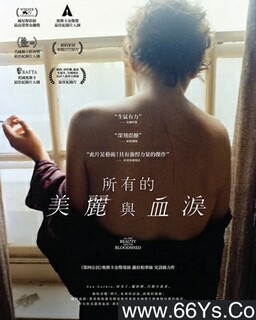 ���е�������Ѫ��ķ���ͼ