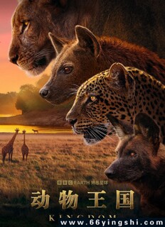 ��������[��¼Ƭ]�ķ���ͼ