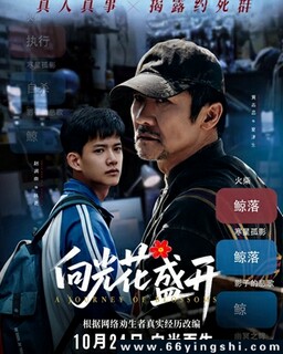 ��⻨ʢ���ķ���ͼ