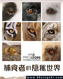 ��ʳ�ߵ���������ķ���ͼ