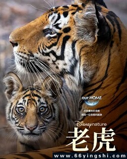 �ϻ�2024�ķ���ͼ