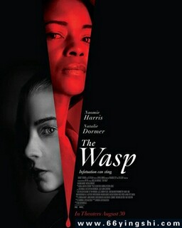 �Ʒ��صķ���ͼ