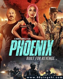 ���׷ɱ��ķ���ͼ