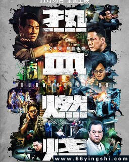 ��Ѫȼ�յķ���ͼ