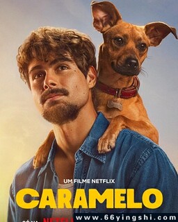 ��������ķ���ͼ