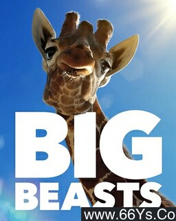 ����[ȫ��]�ķ���ͼ