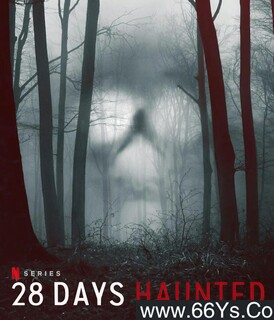 �ֹ�ʵ��28��[ȫ��]�ķ���ͼ