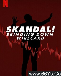 ���ڳ��ţ��ҷ�Wirecardթƭ���ķ���ͼ