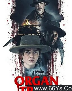 ��ʬ֮·�ķ���ͼ