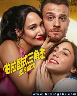 ����ͼʽ������[ȫ��]�ķ���ͼ