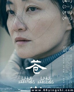 ��ɽ�ķ���ͼ