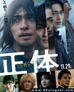 ��ʵ���ݵķ���ͼ