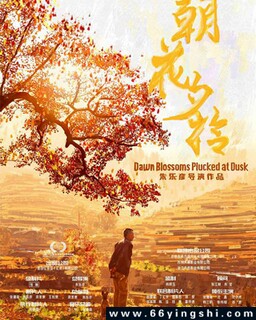 ����Ϧʰ2024�ķ���ͼ