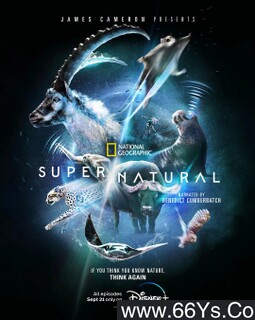 ��/��Ȼ�ķ���ͼ