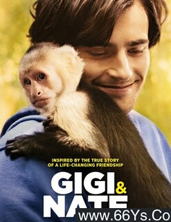 ���������صķ���ͼ