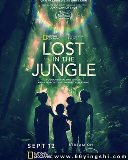 ��ʧ���ֵķ���ͼ