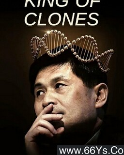 ��¡�����ķ���ͼ