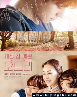 ������2024�ķ���ͼ