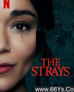 ������/��͵ķ���ͼ