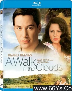 ���������ķ���ͼ