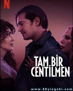 ���¾��ӵķ���ͼ